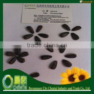 Promotion :Round Type Sunflower Seed Top Quality 1121,909 Low Price