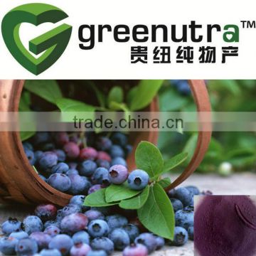 Bilberry Extract Powder