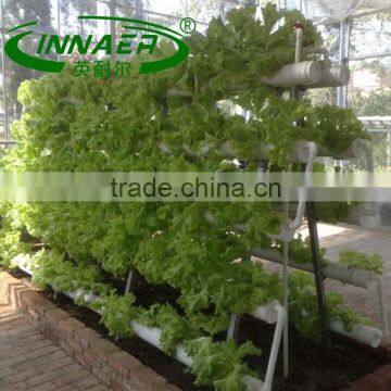 High Quality Spinach Planting Groove for Greens Planting