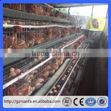 Uganda poultry battery layer cage /chicken layer cage/poultry layer cage for sale(Guangzhou Factory)