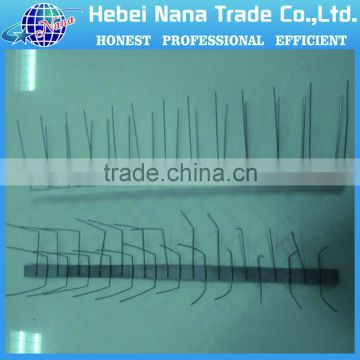 Hot Sale Stainless Steel Anti Bird Spikes