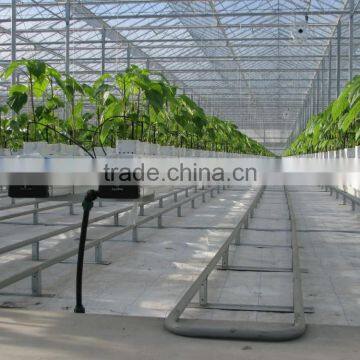 Hydroponics Greenhouse Multi Span Poly Film/PC Sheet photo-3