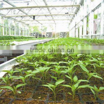New Products Hotsale Rice Starting Seed Trays photo-2