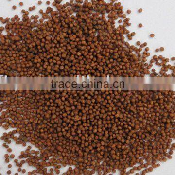 fish food for tropical fish