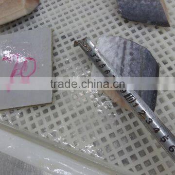 Frozen Spanish Mackerel Steaks photo-2