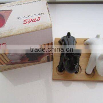 New Design Hot Selling Cruet Set Ceramic Set photo-5