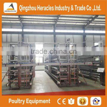 Trade Assurance Automatic Manure Cleaning Layer Polultry Farm Equipment photo-4