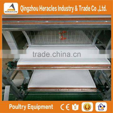 Trade Assurance Layer Chicken Cag-- H Type Cage Chicken Equipment photo-6