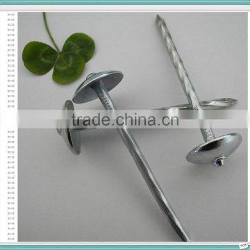 Umbrella Head Roofing Nails Packing in Gunny Bag or Carton