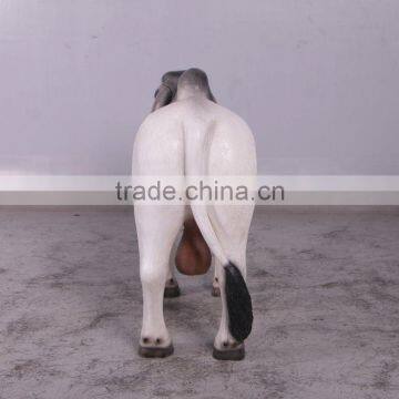 Definitive Brahman Looking Left photo-4