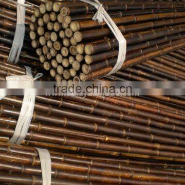 Natural Clean Dry Straight Cheap Treated Black Bamboo Poles photo-2
