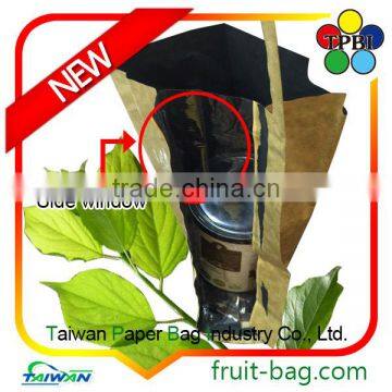 Small Bag Taiwan Factory Wax Apple Protection Paper Bag Custom Packaging Bag photo-5