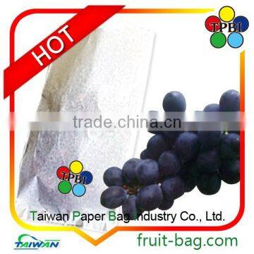 Taiwan Grape Growing Paper Bags to Cover Grapes Customized Protection Bag
