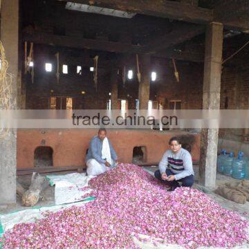 Floral Water Rose Hydro Sol photo-4