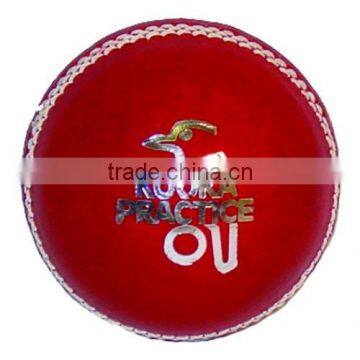 T-20 Cricket Balls