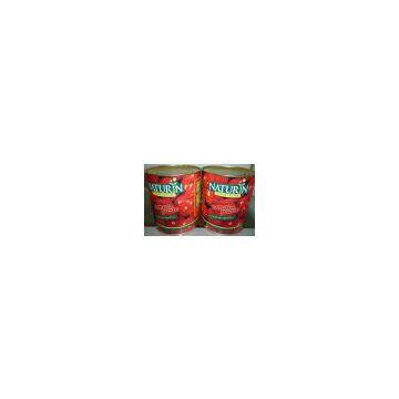 canned tomato paste ketchup paste