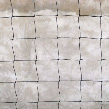 Volleyball Net