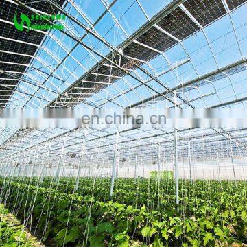 New Design Solar Greenhouse With Good Cooling System