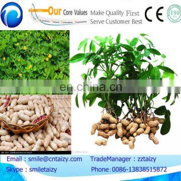 sowing machine/rice sowing machine/peanut sowing machine