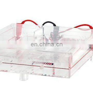 CA-SYS Cellulose Acetate Film (CAF) Electrophoresis photo-2