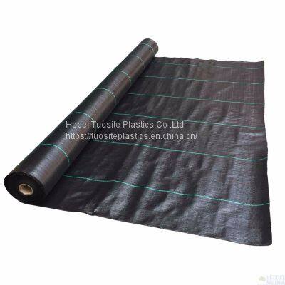 Weed Mat Ground Cover For Blueberry Anti Grass Cloth In Pv Anti Grass Cloth For Solar Power Plant Earth Net Fabric Weed Barrier photo-4
