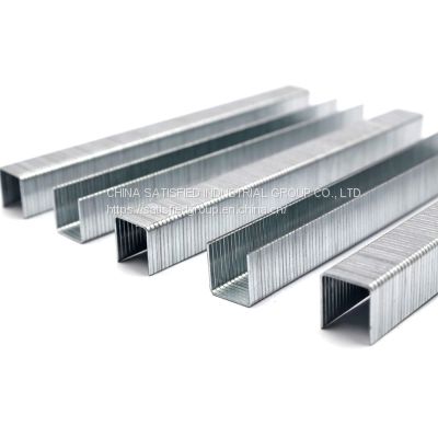 1008 8010 9030 9235 9750 series U type Galvanized staples nail