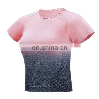 Wholesale Women Seamless Gradient Crop Top Fitness Yoga Top Sports Short Sleeve Yoga Tops photo-2