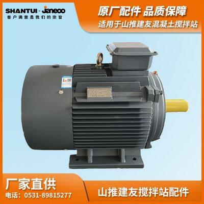 SHANTUI JANEOO Concrete Mixer Motor 37KW 55KW Y2-250M-4-B3 P55 photo-2