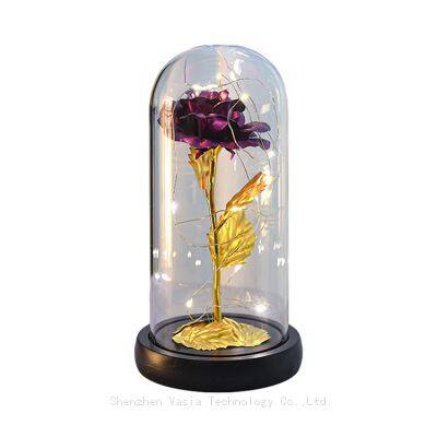 Eternal Forever Rose in Glass Dome With LED Light Gift Box for Mom Women Valentines Mothers Day Bulk photo-4