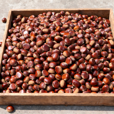 Fresh Shan Dong chestnut