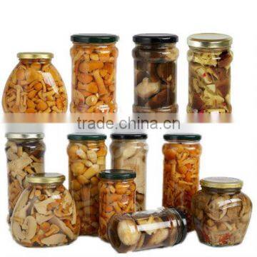 Canned Mushroom Price photo-2