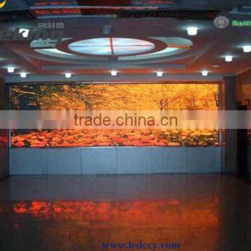 P7.62 mm indoor led digital display