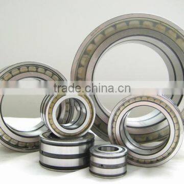 Made in China Best Sale cylindrical roller bearing NNC4834V SL014834