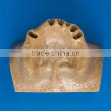 Factory Price Clinical Drill Model Cableway/ Dental Implant Model/implantes for Teeth photo-3