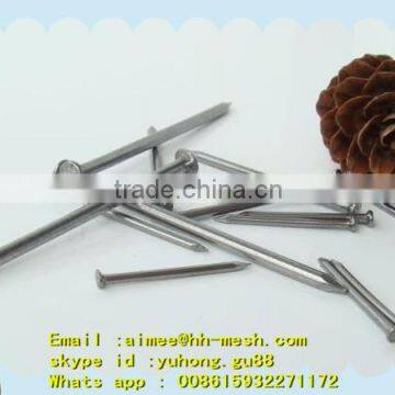 Q195 Polished common nail (factory)