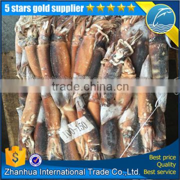 seafrozen argentinus illex squid wr fishery company price