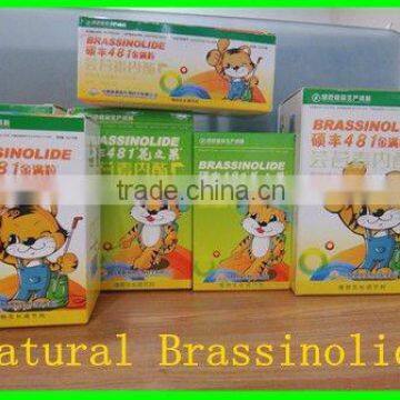 Brassinolide effectively relieve herbicide phytotoxicity