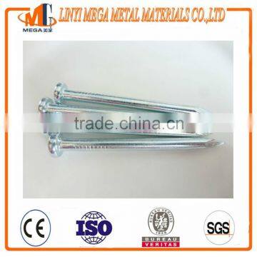 Stainless Steel Concrete Nail photo-3