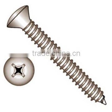 Cross Recessed Tapping Screw Raised Countersunk Head DIN7983