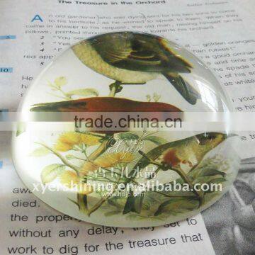 2011 new hot sale elegant diamond glass paperweight