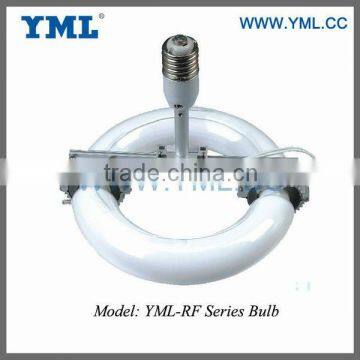 Induction tube lighting 80W induction bulb