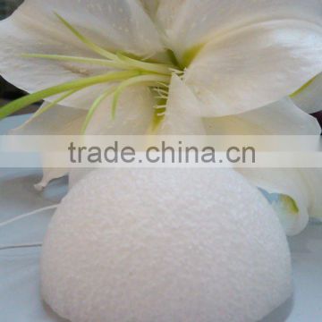 Conjac Facial Sponge Care