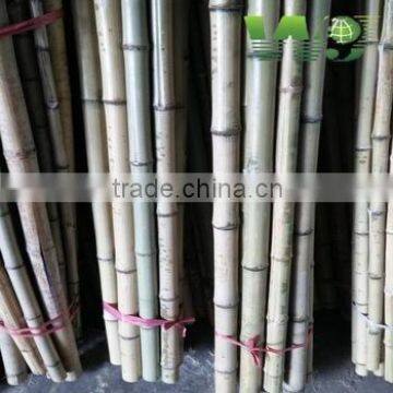 wy-z045 agricultural bamboo pole for orchard