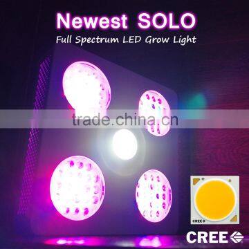 2015 Best Full Spectrum SOLO 300w COB LED Grow Light for 420 growing