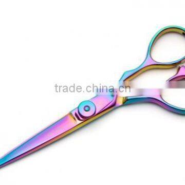 Japanese Stainless Steel Professional Hair Scissors