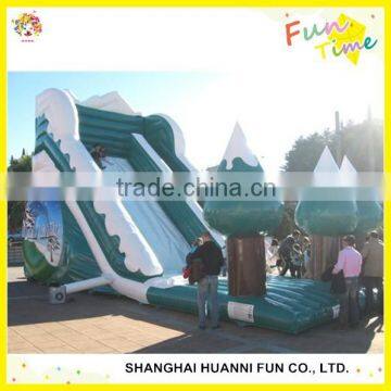 2015 Hot Sale PVC 0.55mm Dophin Inflatable Water Slide Price photo-5