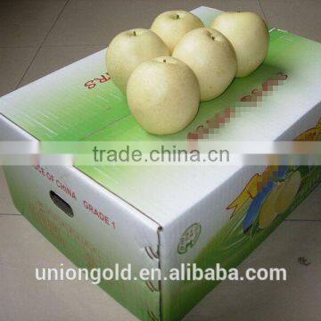 Light Yellow Fresh ya Pear Bulk Purchase photo-2