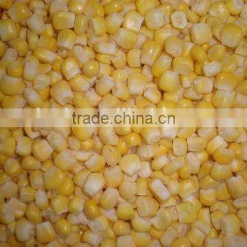 best price frozen sweet yellow corn