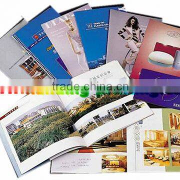 DM Advertising Flyers and Pamphlet Printing