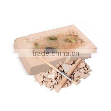 Fossil Photo Frame Dig Kit, 4 Assorted, 12pcs per Display. photo-3